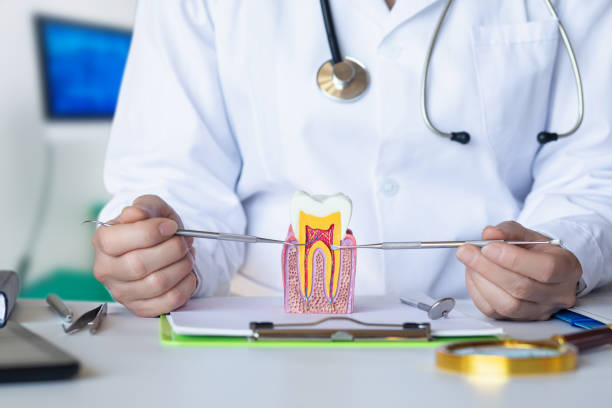 Best Urgent Tooth Repair  in Gillett, WI